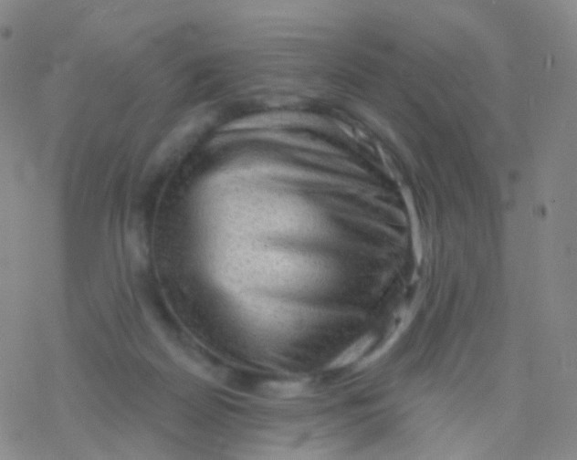 X0000076260170200610262014