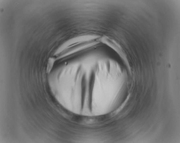 X0000076260174200610262014