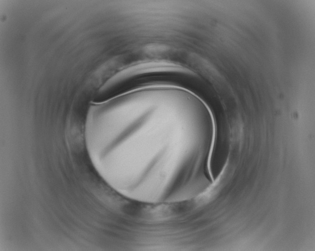 X0000076260186200610262014