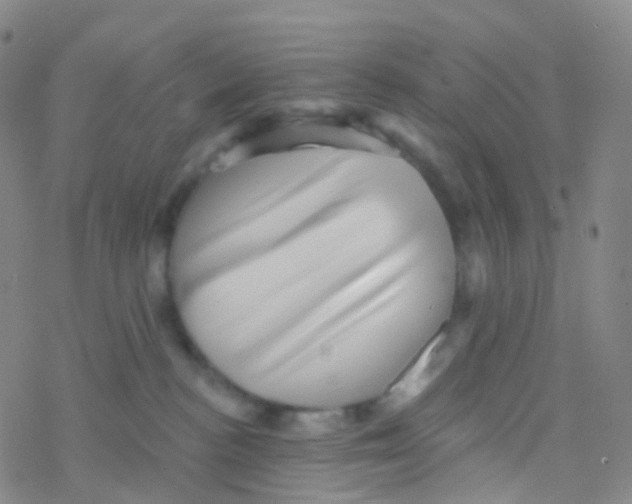 X0000076260188200610262014