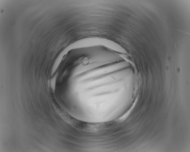 X0000076260190200610262014