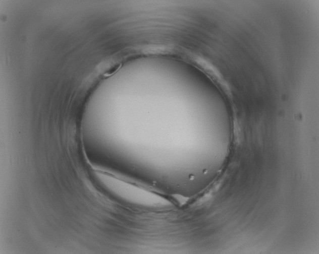 X0000076260201200610262014