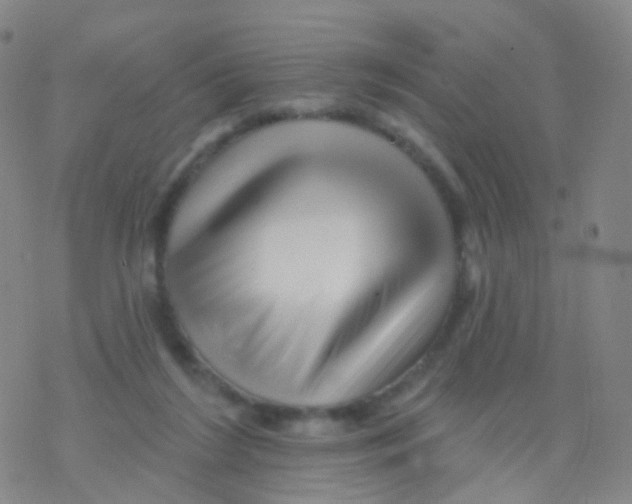 X0000076260212200610262013