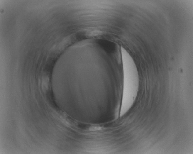 X0000076260227200610262013