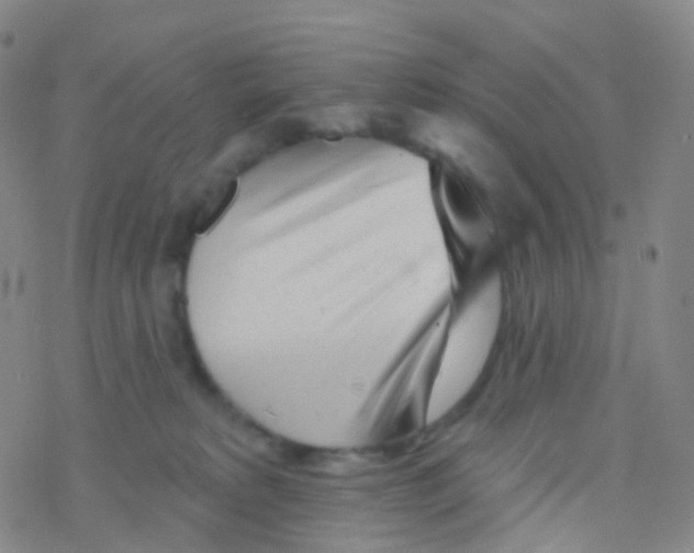 X0000076260229200610262013