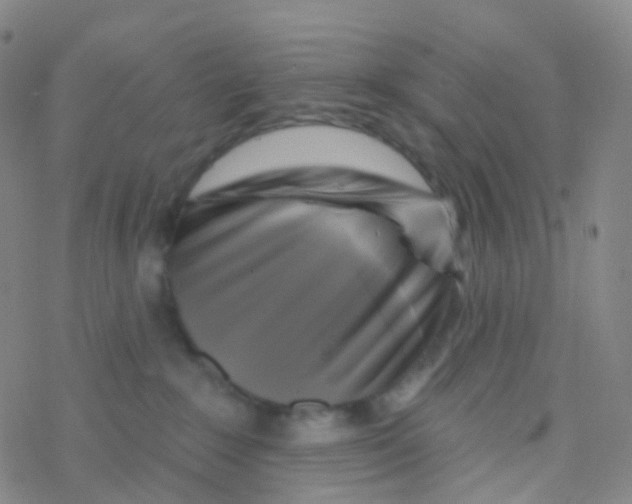 X0000076260235200610262013