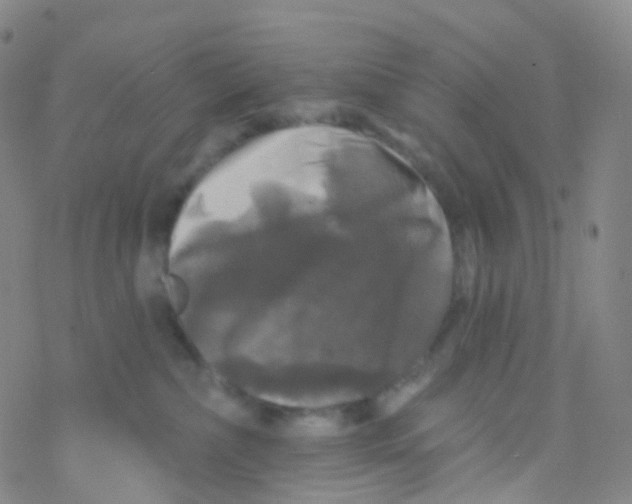 X0000076260236200610262013