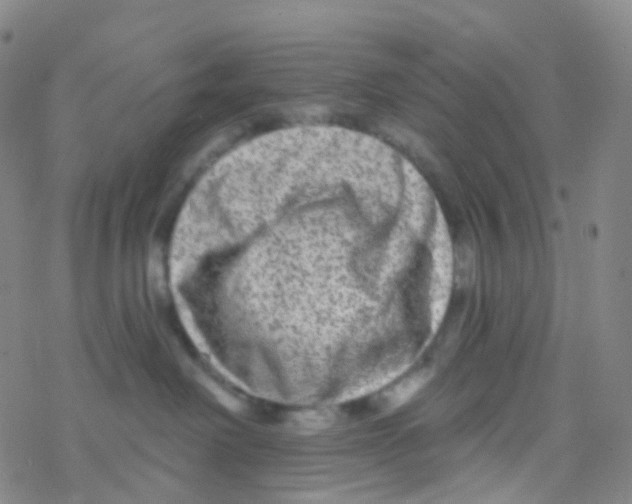X0000076260238200610262013