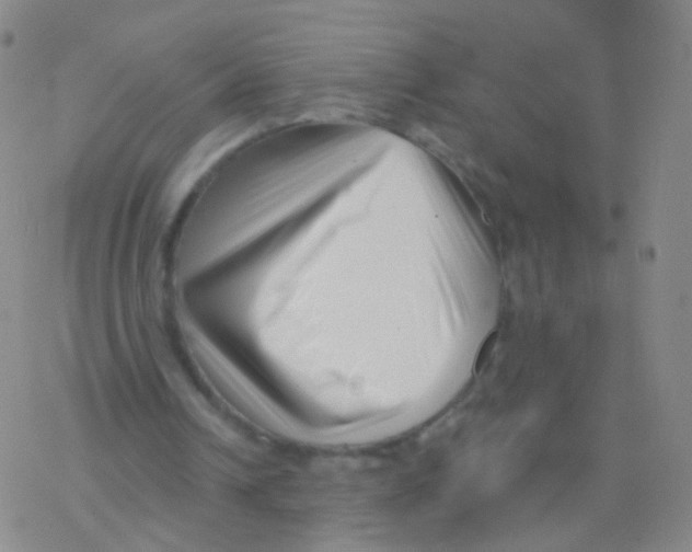 X0000076260242200610262012