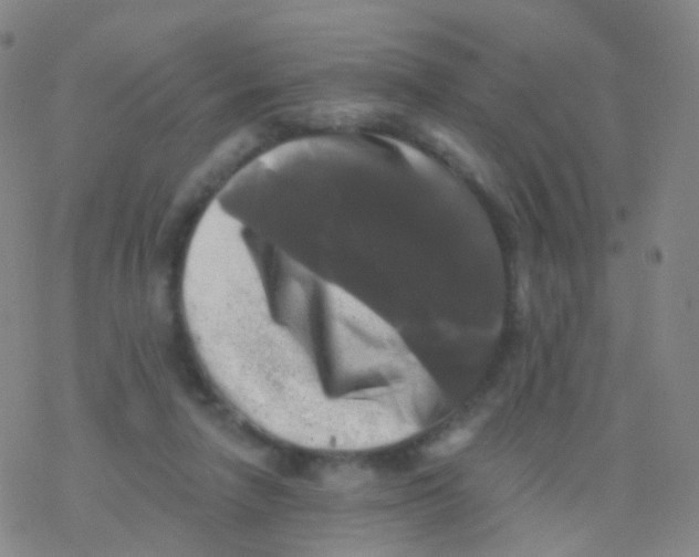 X0000076260258200610262012