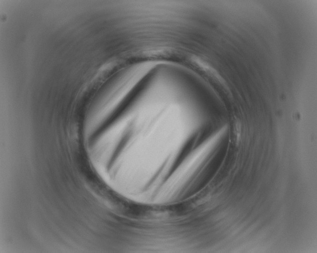 X0000076260260200610262012