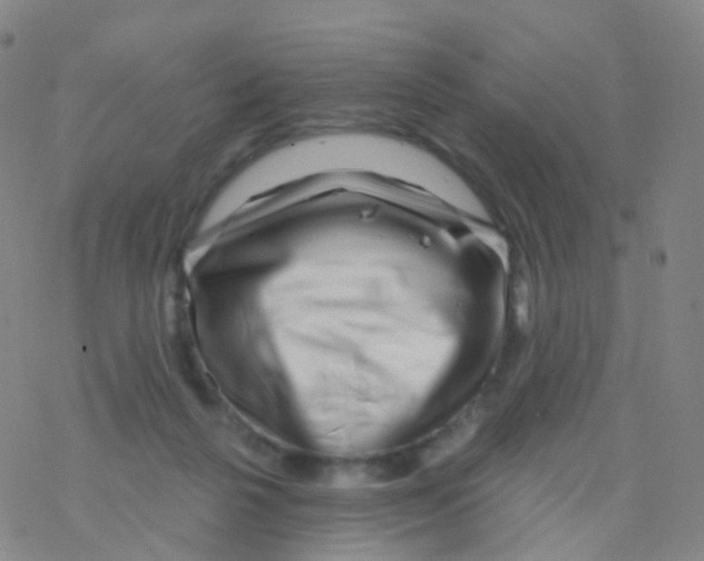 X0000076260264200610262012