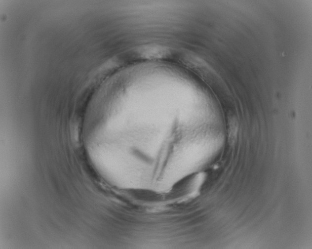 X0000076260268200610262013