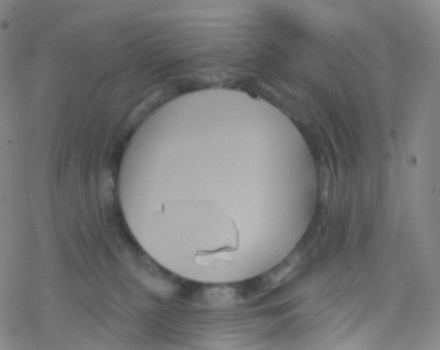X0000076260279200610262013