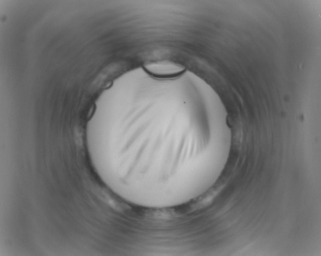 X0000076260282200610262013