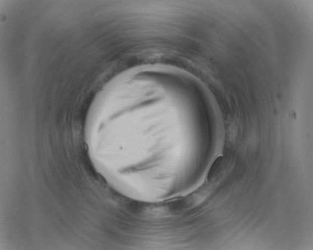X0000076260283200610262013