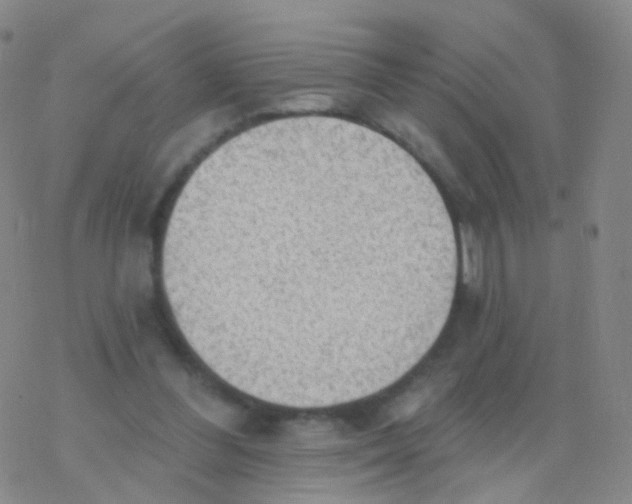 X0000076260300200610262012