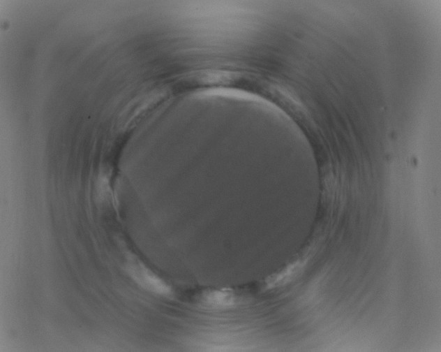 X0000076260325200610262011