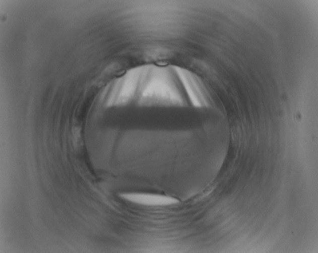 X0000076260327200610262011