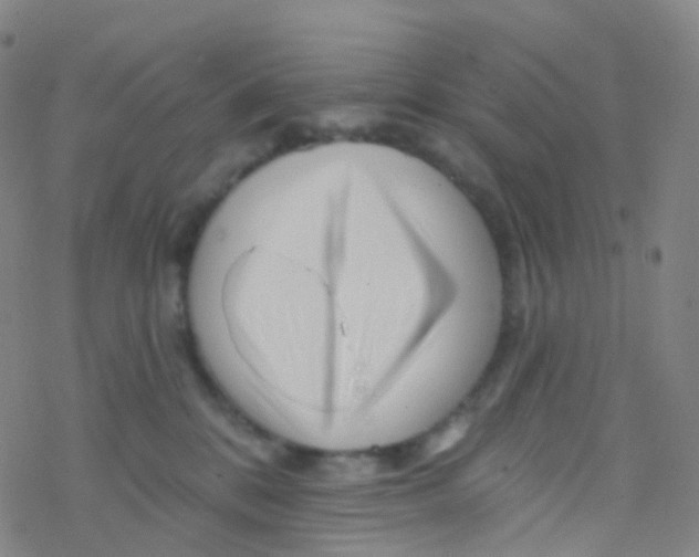 X0000076260328200610262011