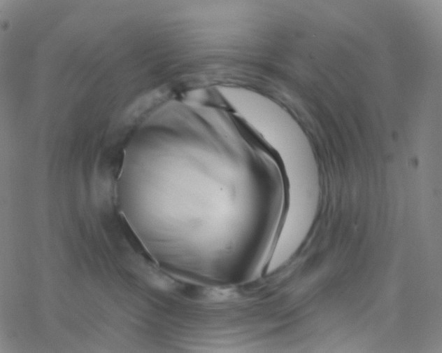 X0000076260333200610262011