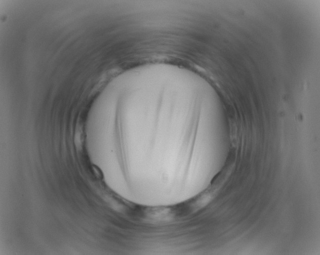 X0000076260334200610262011