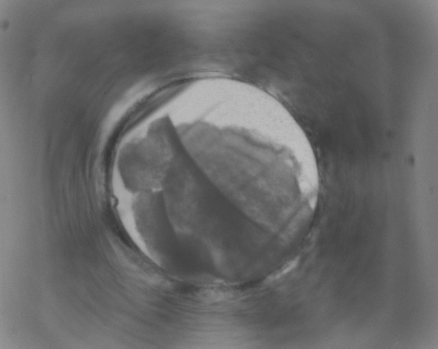 X0000076260343200610262011