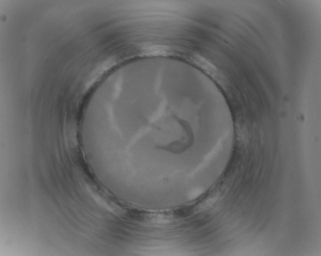 X0000076260347200610262011