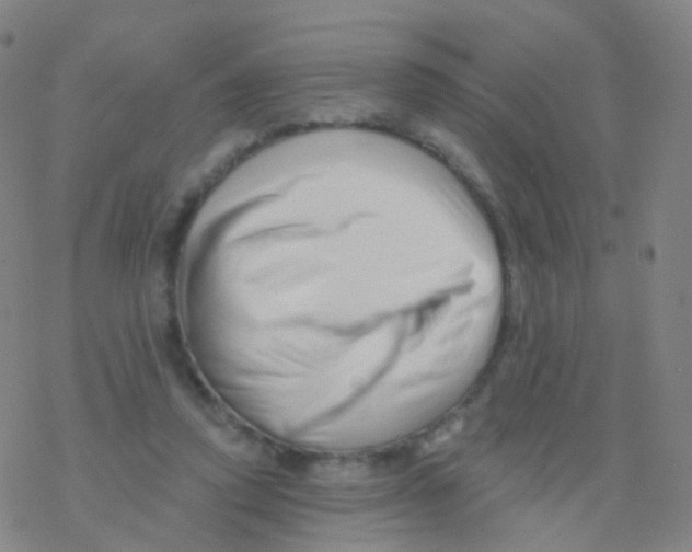X0000076260354200610262011
