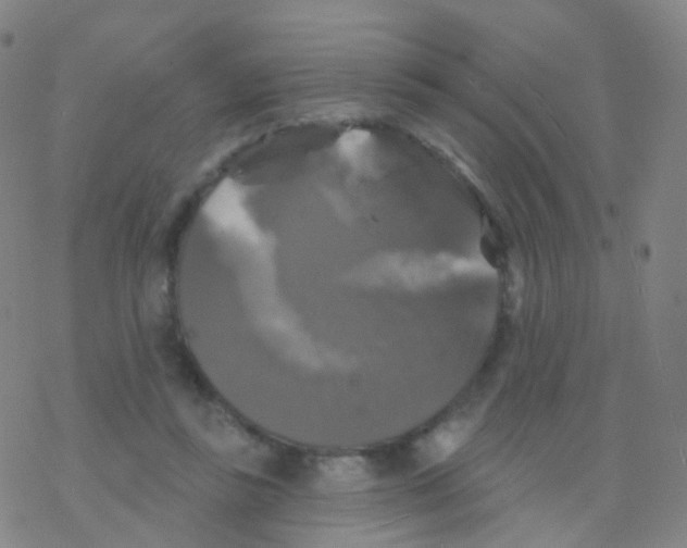 X0000076260355200610262011