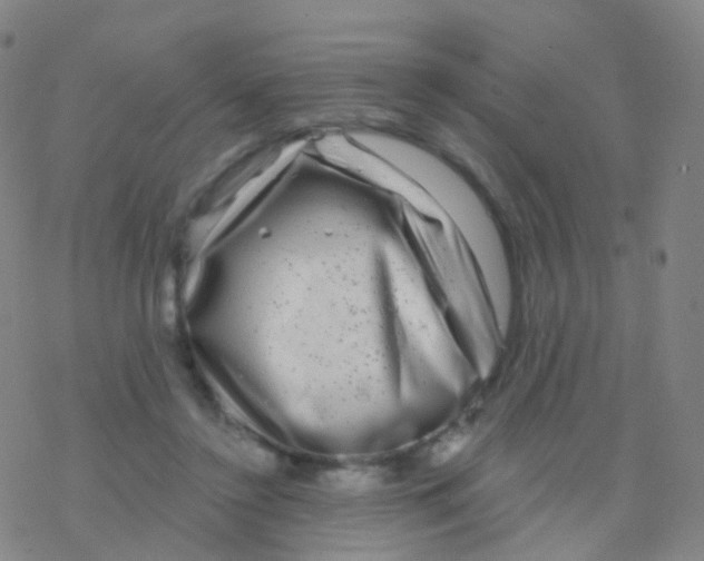 X0000076260356200610262011