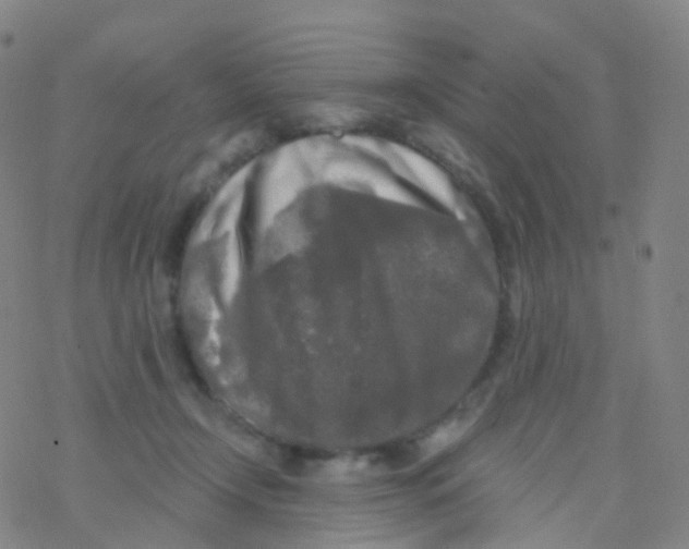 X0000076260366200610262011