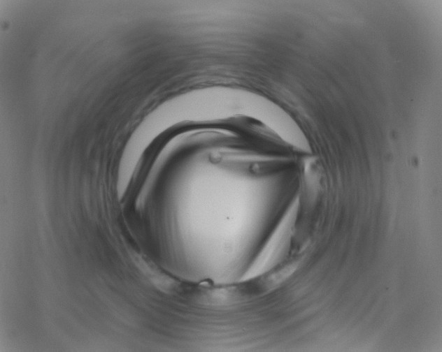 X0000076260382200610262011