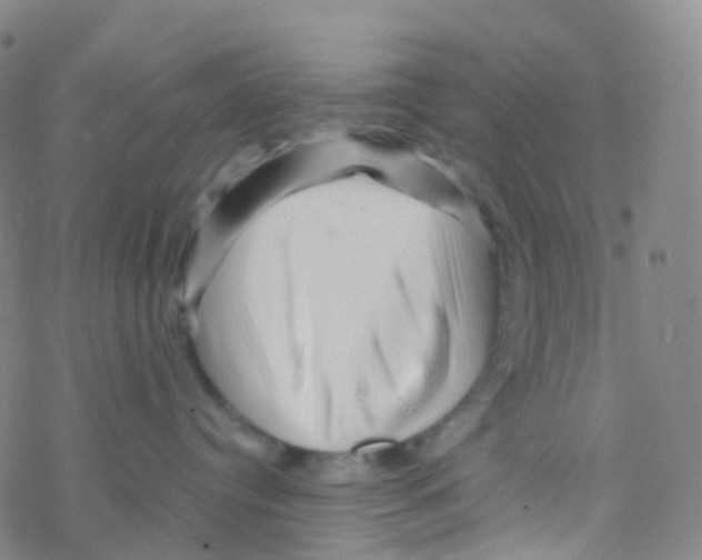 X0000076260384200610262011