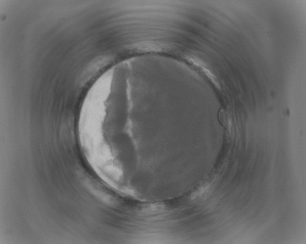 X0000076260398200610262010