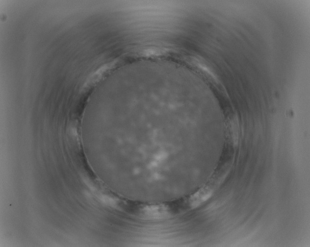 X0000076260415200610262010
