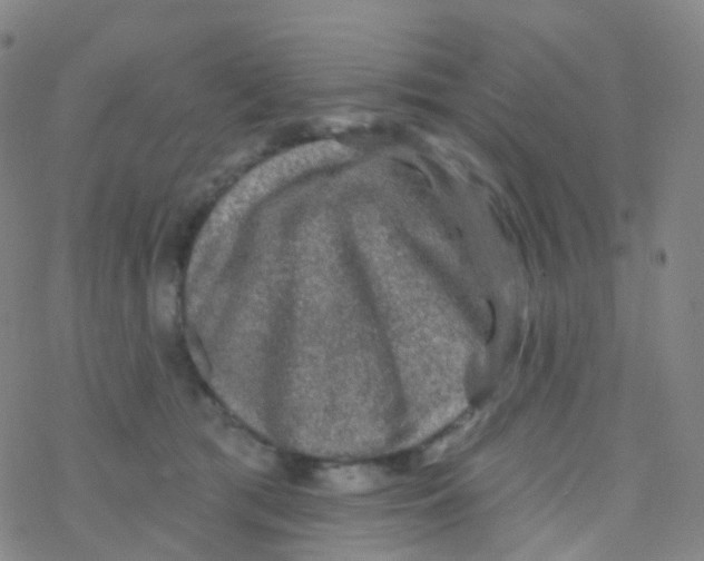 X0000076260417200610262010