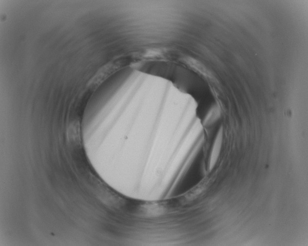 X0000076260425200610262010