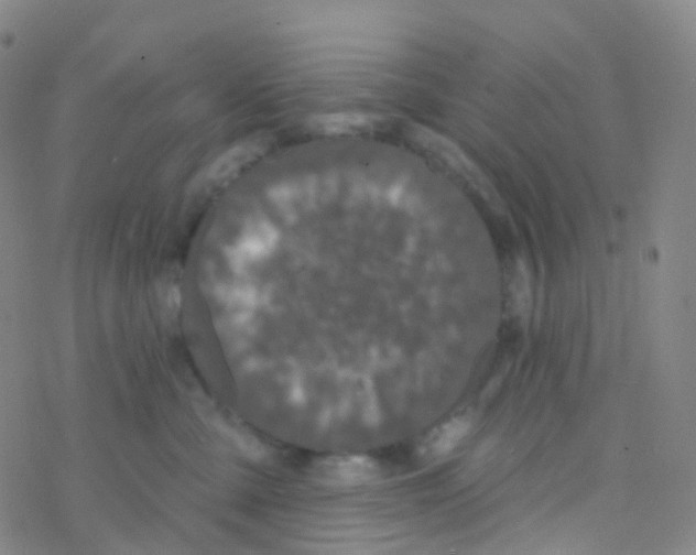 X0000076260427200610262010