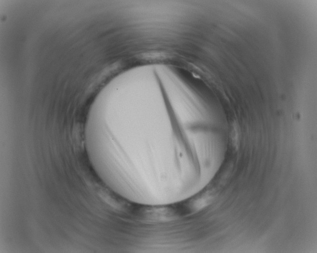 X0000076260428200610262010