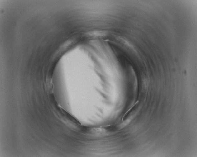 X0000076260429200610262010