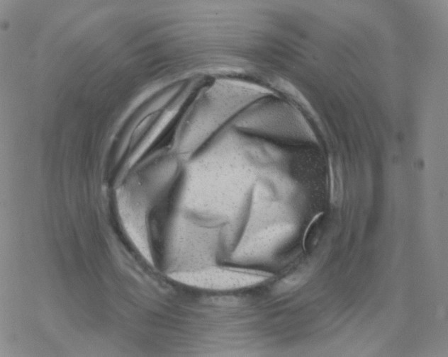 X0000076260435200610262009