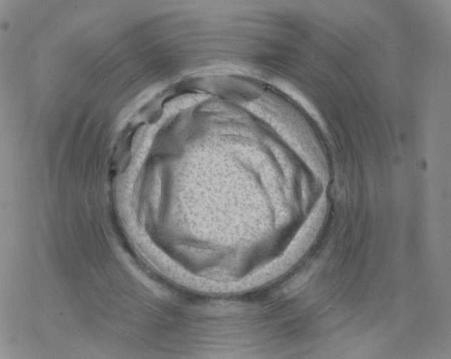 X0000076260437200610262009