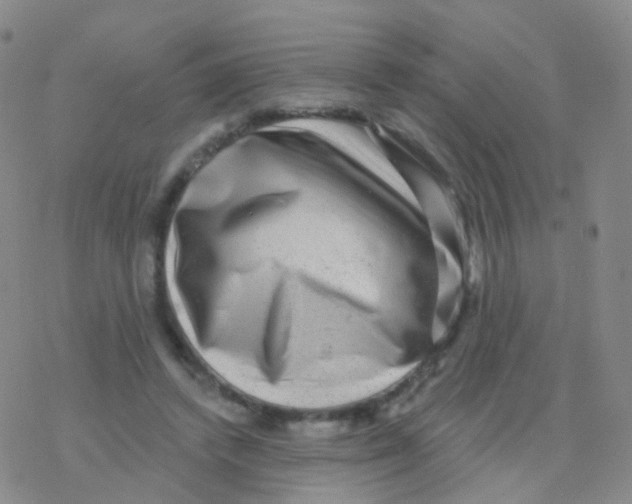 X0000076260448200610262009