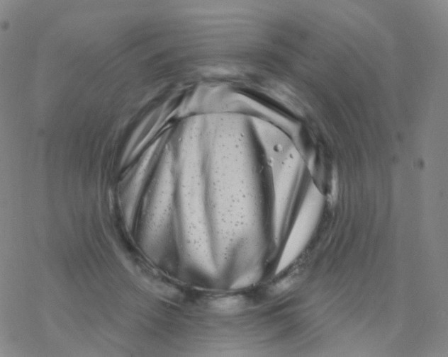 X0000076260456200610262009