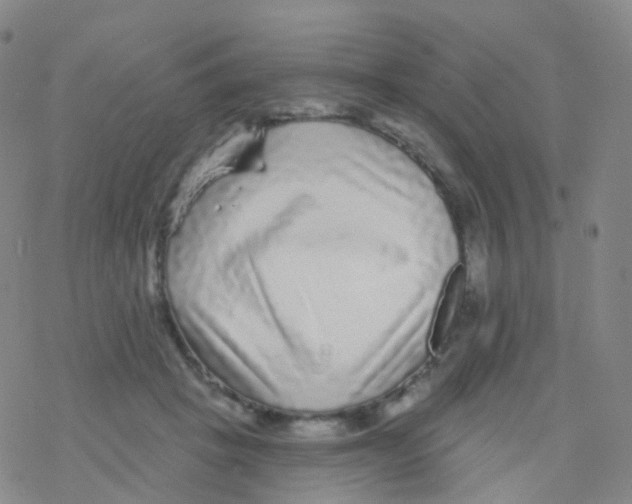 X0000076260457200610262009