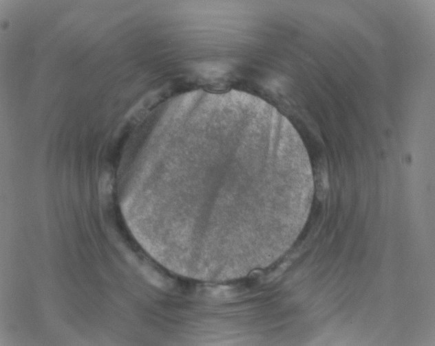 X0000076260472200610262009