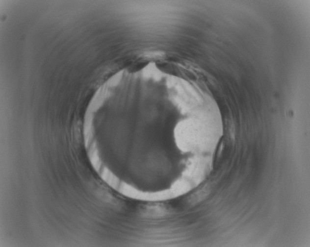 X0000076260475200610262010
