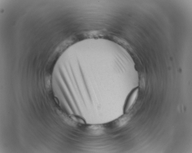 X0000076260477200610262010