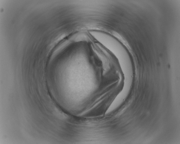 X0000076260481200610262009